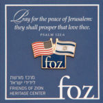 FOZ U.S. – Israel Flag Lapel Pin