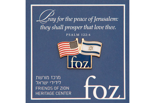 FOZ U.S. – Israel Flag Lapel Pin