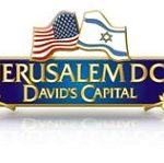 Jerusalem DC lapel pin