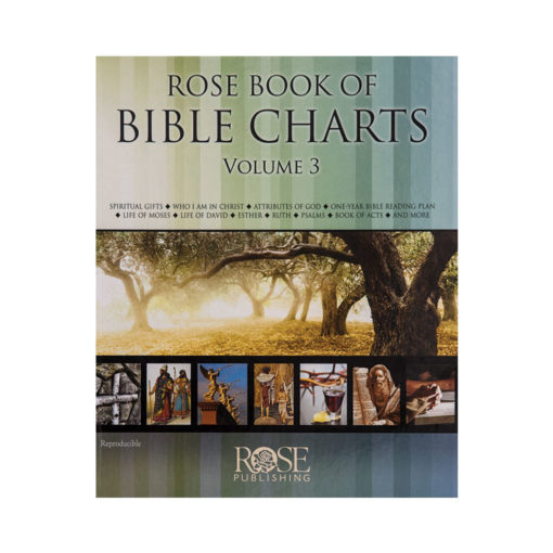 Bible Charts, Volume 3 (Hardback)