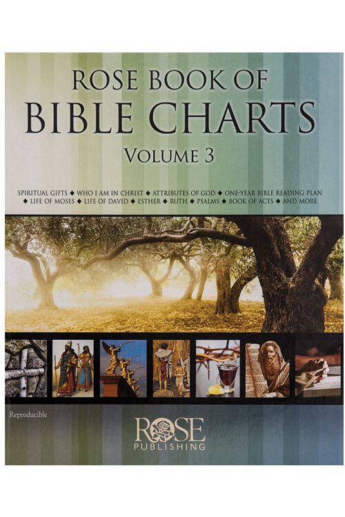 Bible Charts, Volume 3 (Hardback)
