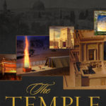 The Temple: The Center of Gravity - paperback